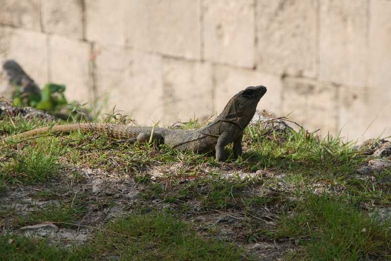 Mexico & Guatemala 2010 - 0149